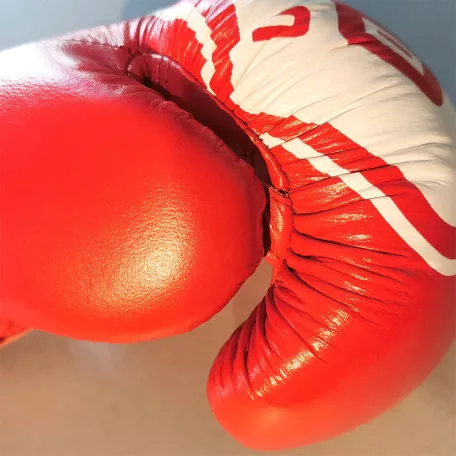Boxing gloves, Saman, Eco 2.0, leather, red, 10 oz