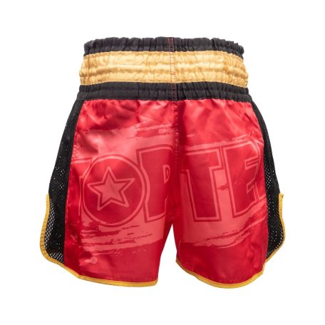 Kick-box rövidnadrág, Top Ten, Power Ink, Piros-arany szín, XL méret