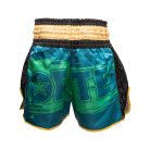 Kick-box rövidnadrág, Top Ten, Power Ink, Zöld-arany szín, XS méret