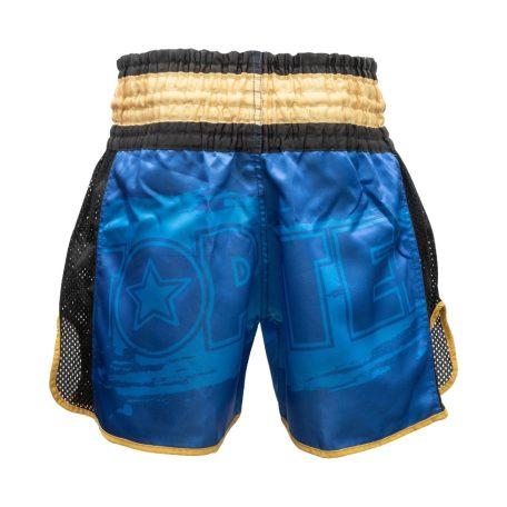 Kick-box rövidnadrág, Top Ten, Power Ink, Kék-arany szín, L méret