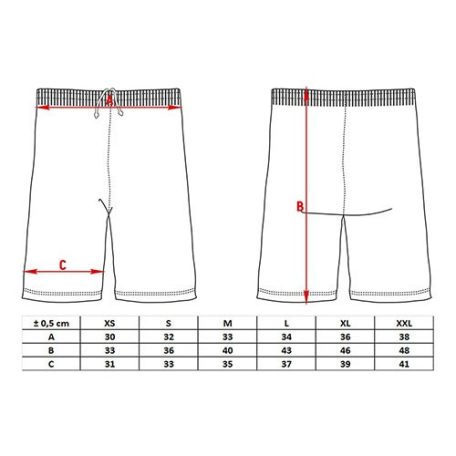 Kick-box rövidnadrág, Top Ten, Power Ink, Lila-arany szín, S méret