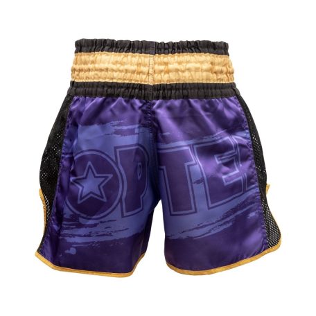 Kick-box rövidnadrág, Top Ten, Power Ink, Lila-arany szín, XL méret