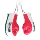 Dísz boxkesztyű, Saman, felakasztós, párban, trikolor