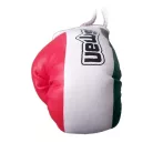 Dísz boxkesztyű, Saman, felakasztós, párban, trikolor