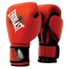 Everlast Fighter