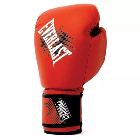 Everlast Fighter