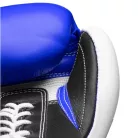 Boxing Gloves, Top Ten, Pro X, leather