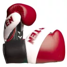 Boxing Gloves, Top Ten, Pro X, leather