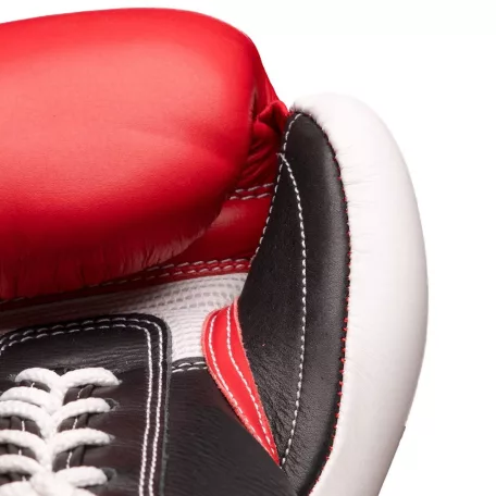 Boxing Gloves, Top Ten, Pro X, leather