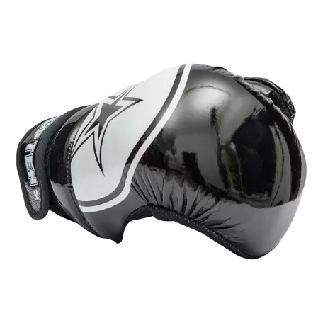 Pointfighter “Glossy Block Star”